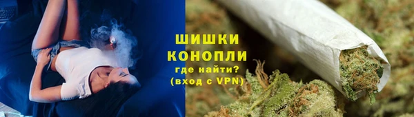 прущие грибы Верхнеуральск