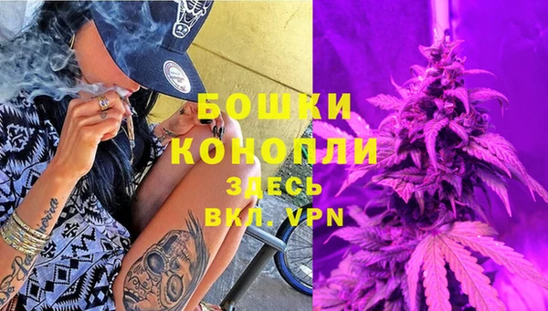 прущие грибы Верхнеуральск